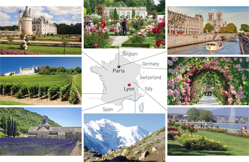 Provisional Program of the 17th World Rose Convention