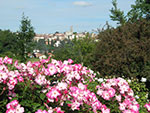 Roseraie de Saint Galmier - Vue de Saint Galmier depuis la roseraie