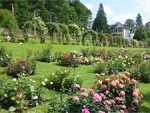 Roseraie Beutig � Baden-Baden